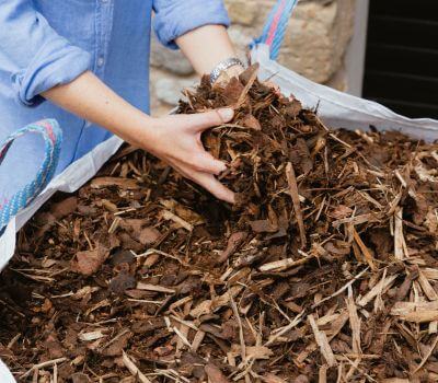 bark chippings